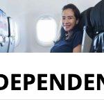 Embarazada en avión