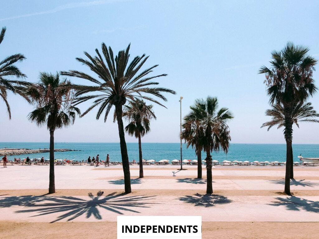 Experiencias únicas para disfrutar del Mediterráneo